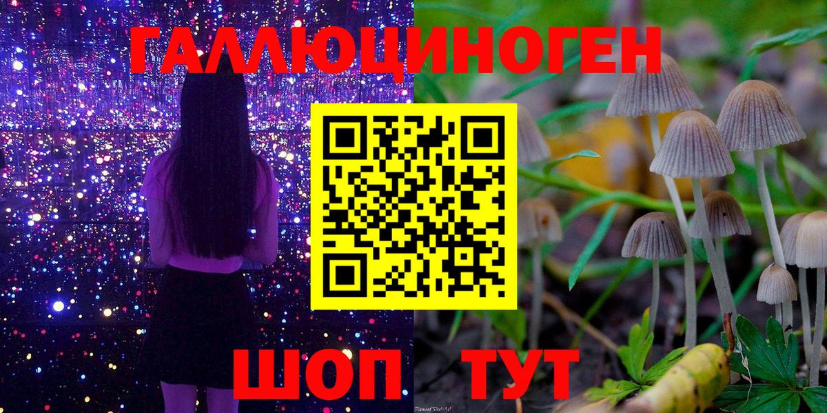 Джанкой  Псилоцибиновые грибы Magic Shrooms  Галлюциногенные грибы мухоморы  Вход с VPN 